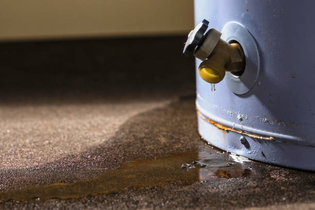 Best Flood restoration services  in Flower Hill, NY