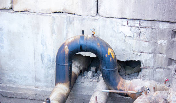 Best Water damage cleanup near me  in Flower Hill, NY