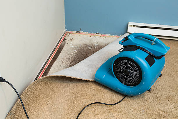 Best Water damage restoration cost  in Flower Hill, NY